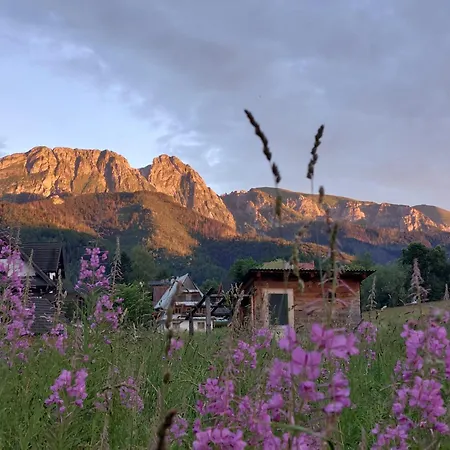 Casa vacanze Pod Goralskim Niebem Zakopane