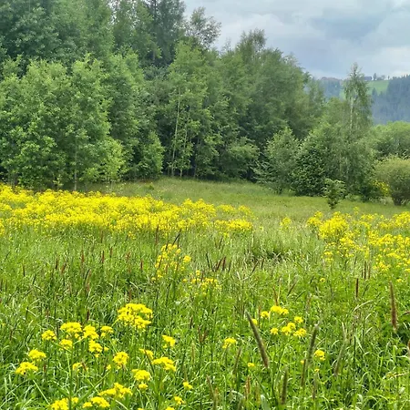 Pod Goralskim Niebem Casa vacanze Zakopane